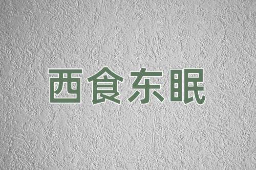 成语西食东眠
