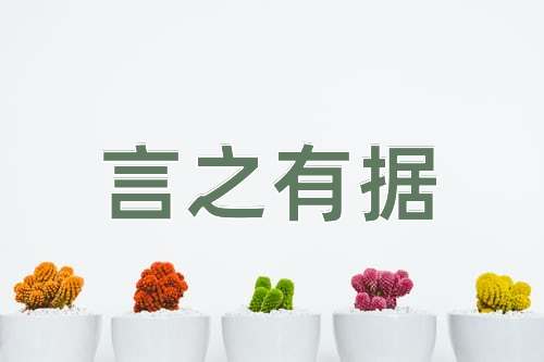 成语言之有据