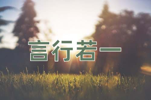 成语言行若一