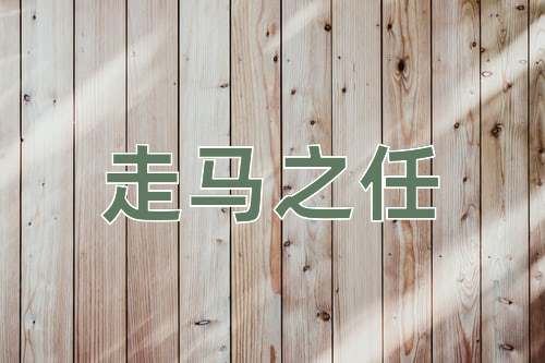 成语走马之任