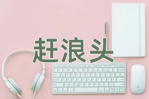 成语赶浪头