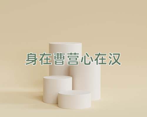 成语身在曹营心在汉