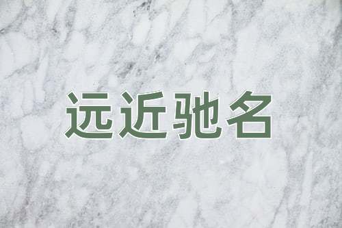 成语远近驰名