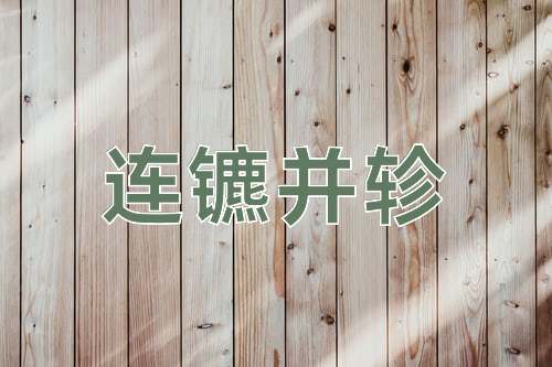 成语连镳并轸