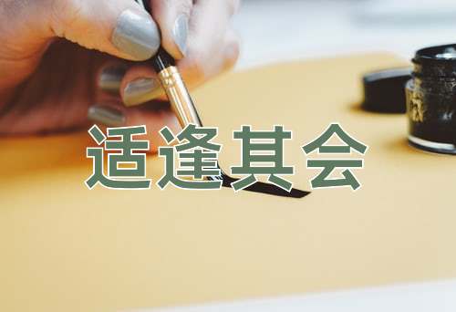 成语适逢其会