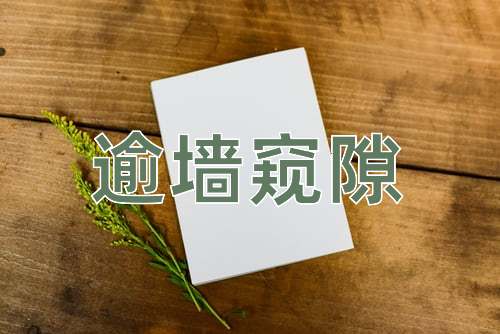 成语逾墙窥隙