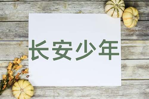 成语长安少年