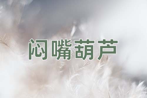 成语闷嘴葫芦