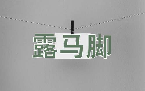 成语露马脚