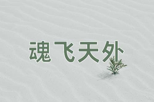成语魂飞天外