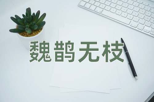 成语魏鹊无枝