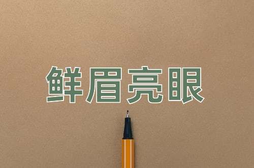 成语鲜眉亮眼