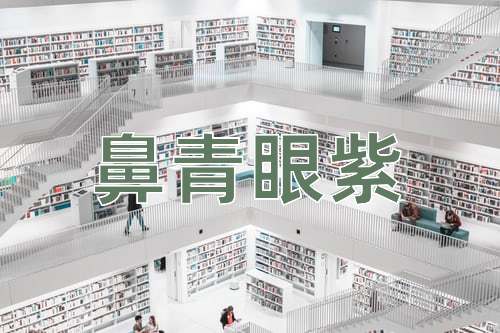 成语鼻青眼紫