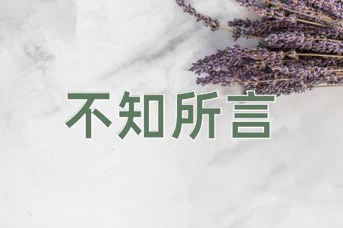 成语不知所言
