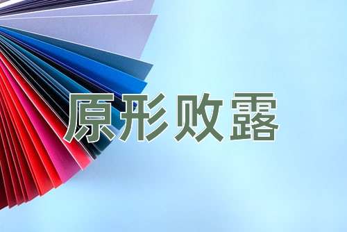 成语原形败露