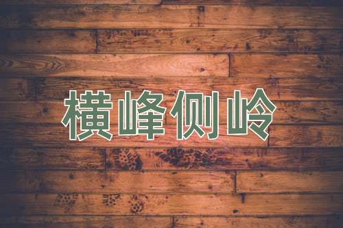 成语横峰侧岭