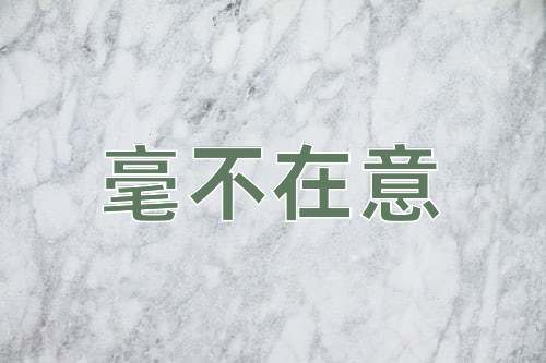 成语毫不在意