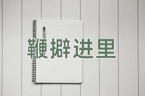 成语鞭擗进里